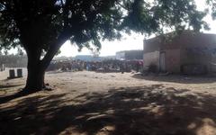 Darfour: 168 personnes tuées dans des violences