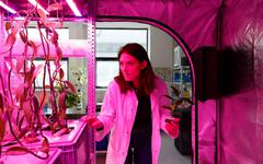 Biopod, la serre futuriste qui va sauver des plantes en danger… et nourrir les astronautes