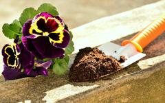 Jardinage. Plantes et potagers : comment bien choisir son terreau au printemps ?