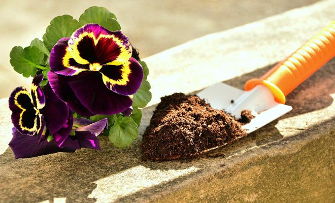 Jardinage. Plantes et potagers : comment bien choisir son terreau au printemps ?