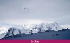 La Belgique propose la création d'une nouvelle zone spécialement protégée en Antarctique