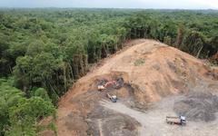 « Pas de produits liés à la déforestation » dans l’UE, assure le commissaire européen à l’Environnement