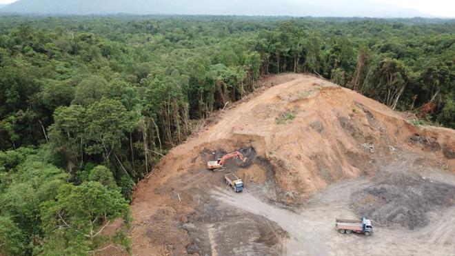 « Pas de produits liés à la déforestation » dans l’UE, assure le commissaire européen à l’Environnement