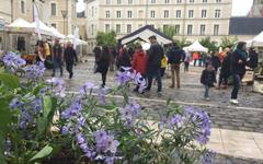 Les 48h de l’agriculture urbaine sont de retour ce week-end à Angers