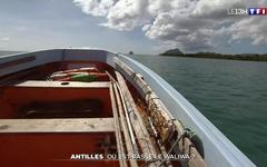 Où est passé le Waliwa des Antilles ?