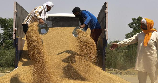 En Inde, le premier ministre interdit les exportations de blé pour protéger la population de l’inflation