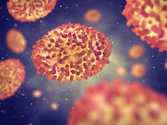 5 choses à savoir sur la variole du singe
