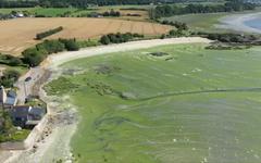 Fléau des algues vertes : les agriculteurs bretons financièrement incités à limiter leur utilisation d'engrais