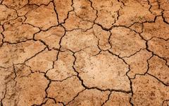COP15 sur la désertification et la sécheresse, des paroles aux actes ?