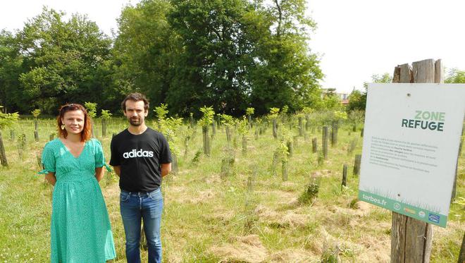 Hautes-Pyrénées : planter 1 000 arbres par an, c’est déjà une réalité à Tarbes
