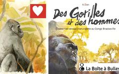 Des gorilles et des hommes : Carnet de voyage chez La Boîte à Bulles