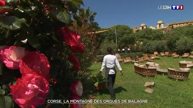 Corse, la montagne des orgues de Balagne