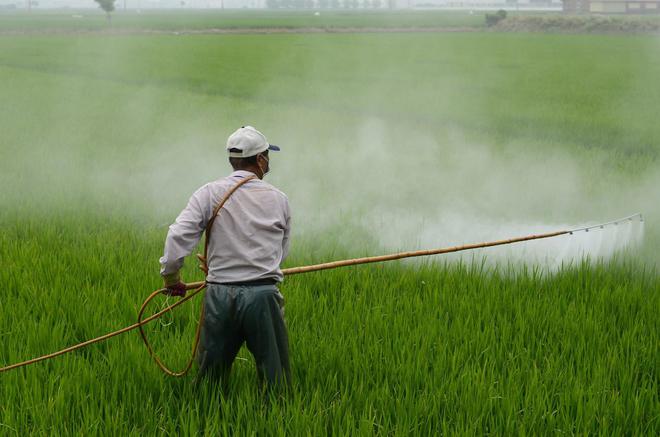 Une étude s’alarme de l’augmentation des pesticides dans nos fruits
