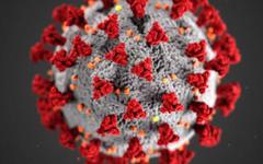 Coronavirus : La thèse du virus du Covid-19 échappé d'un laboratoire en Chine mérite de «plus amples recherches», estiment des experts nommés par l'OMS