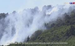 Sécheresse : une centaine d'hectares menacés dans les Alpes-Maritimes