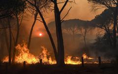 Canicule : un incendie fait des ravages dans l’Aveyron, 65 personnes relogées