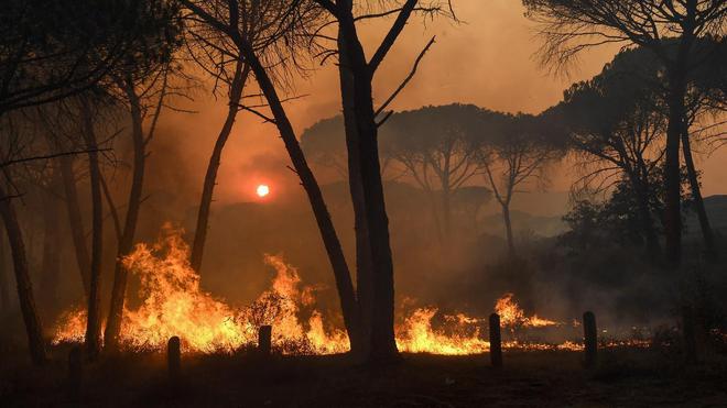 Canicule : un incendie fait des ravages dans l’Aveyron, 65 personnes relogées