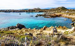 Écologie : dès cet été, la Corse va imposer des quotas pour réduire le nombre de touristes