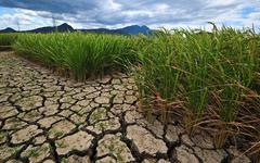 L’écologie en Côte d’Ivoire, un enjeu majeur pour le pays