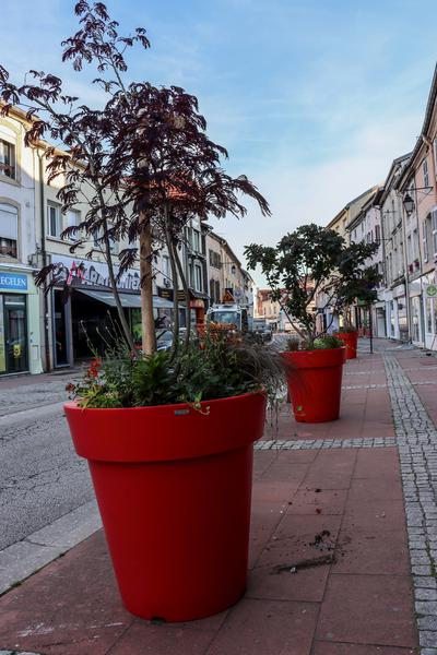 Remiremont – La Ville végétalise le centre-ville