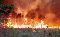 Incendies en Gironde : l’équivalent de la surface de Paris déjà parti en fumée