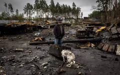 Ukraine : quand la guerre s’en prend aussi à la nature