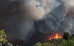 Feux de forêts : la solidarité européenne face à la multiplication des incendies