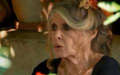 Incendies en Gironde - Brigitte Bardot s'en prend violemment au patron des chasseurs Willy Schraen: "C'est un personnage grotesque avec qui on ne peut pas discuter"
