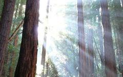 160 citations sur la NATURE en 12 sections