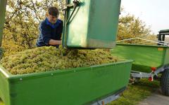 « Vita Bourgogne » pour un job chez les vignerons
