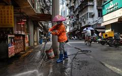 Deux études concluent que la pandémie aurait bien commencé sur le marché de Wuhan
