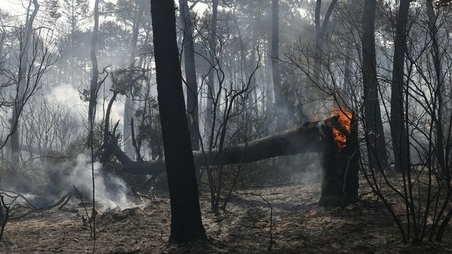 Incendies : «On va battre des records d’hectares brûlés cette année», alertent les sénateurs