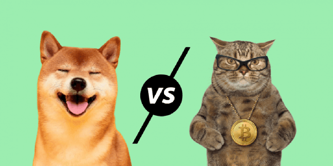 Elon Musk : Dogecoin (DOGE) est meilleur que Bitcoin (BTC) !