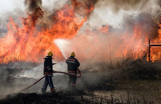 Feux de forêt : un été record de surfaces brûlées en Europe
