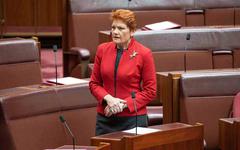 Pauline Hanson critique les sénateurs travaillistes pour leur “astuce” pour clore les questions sur le coût du net zéro