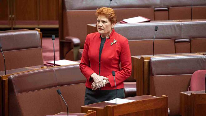 Pauline Hanson critique les sénateurs travaillistes pour leur “astuce” pour clore les questions sur le coût du net zéro