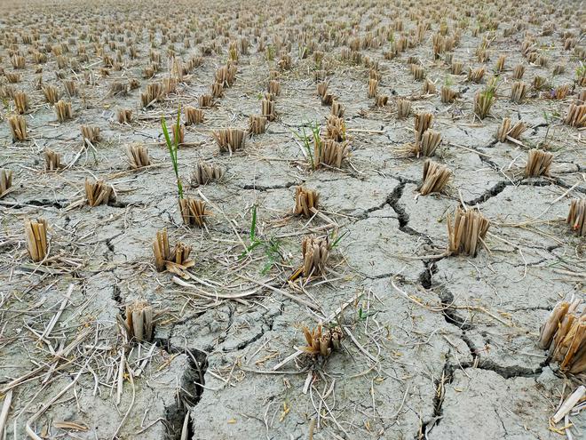 Face au stress hydrique, l’impératif de la planification écologique