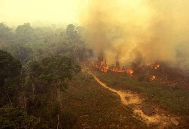 Amazonie : Ce nouveau bilan catastrophique laisse présager le pire