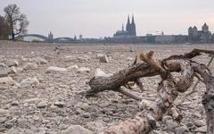 Meurthe-et-Moselle : alerte renforcée sècheresse