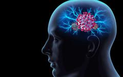 Alzheimer : un risque augmenté de 50 à 80% après une infection au SARS-CoV-2 pour les personnes âgées