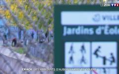 Crack à Paris : 113 arrestations lors d'une vaste opération de police