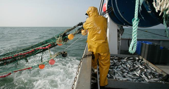 Pêche : la Commission européenne interdit le chalutage dans une partie de l'Atlantique