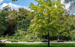 Paris veut piétonniser le bas des Champs Elysées le dimanche pour faciliter l’accès aux jardins