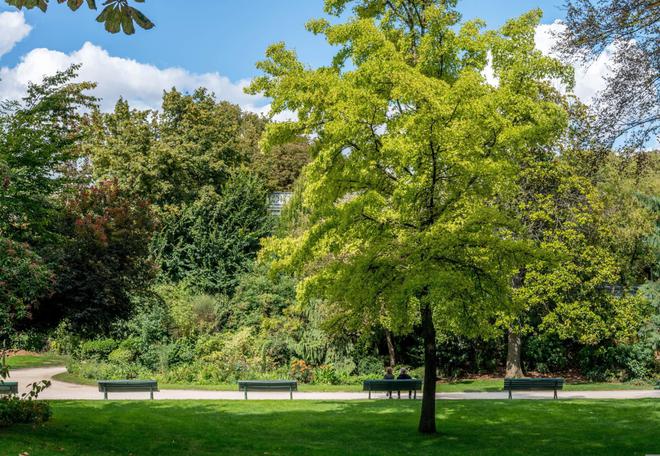 Paris veut piétonniser le bas des Champs Elysées le dimanche pour faciliter l’accès aux jardins