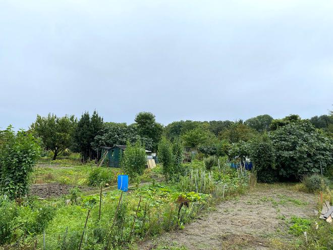 Environnement : huit défenseurs des jardins ouvriers d’Aubervilliers relaxés