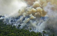 Brésil : plus d'incendies en Amazonie depuis janvier que sur toute l'année 2021