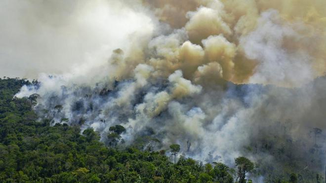 Brésil : plus d'incendies en Amazonie depuis janvier que sur toute l'année 2021