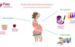 Femmes enceintes, environnement et santé