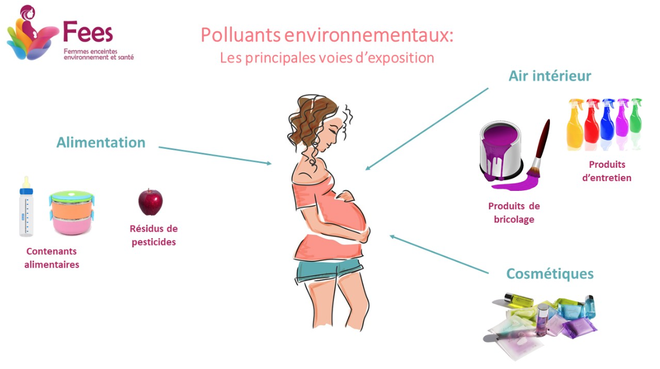 Femmes enceintes, environnement et santé