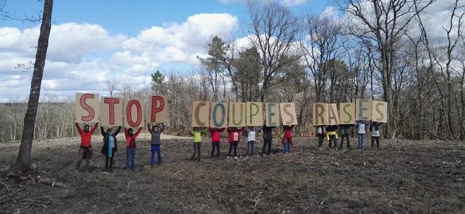 Comment le libéralisme et son monde dévorent les forêts